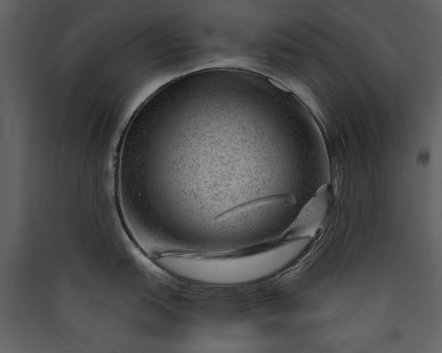 X0000089911151200707131344