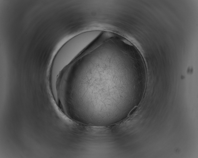 X0000089911152200707131344