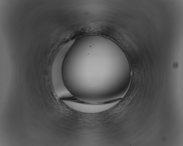 X0000089911153200707131343