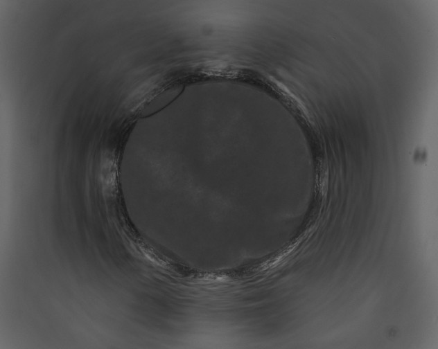 X0000089911154200707131343