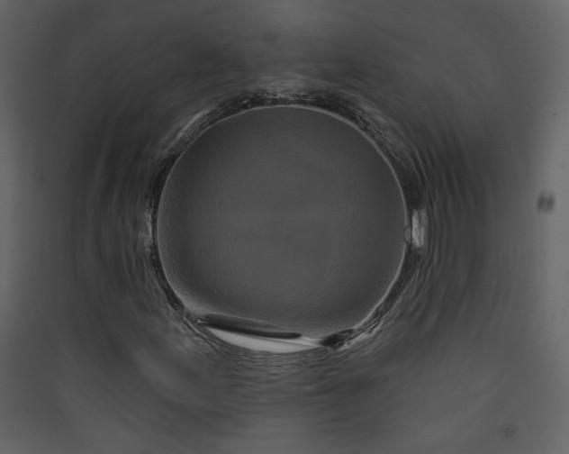 X0000089911155200707131343