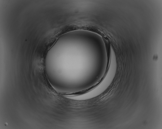 X0000089911156200707131343