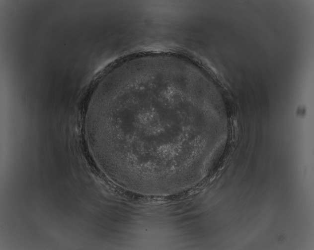 X0000089911158200707131343
