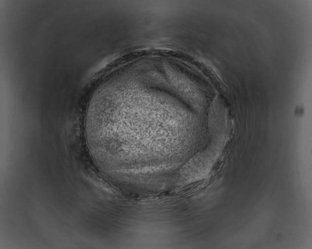 X0000089911159200707131343
