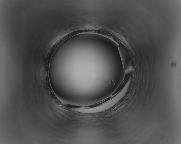 X0000089911160200707131343