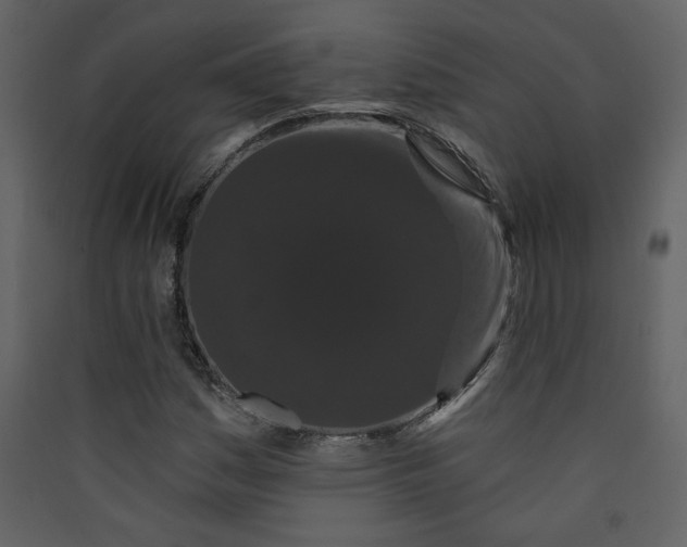 X0000089911161200707131343