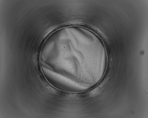 X0000089911162200707131343