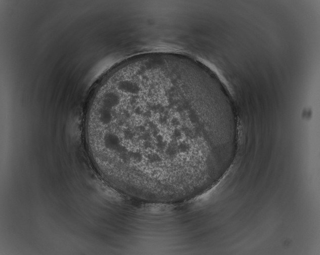 X0000089911163200707131343
