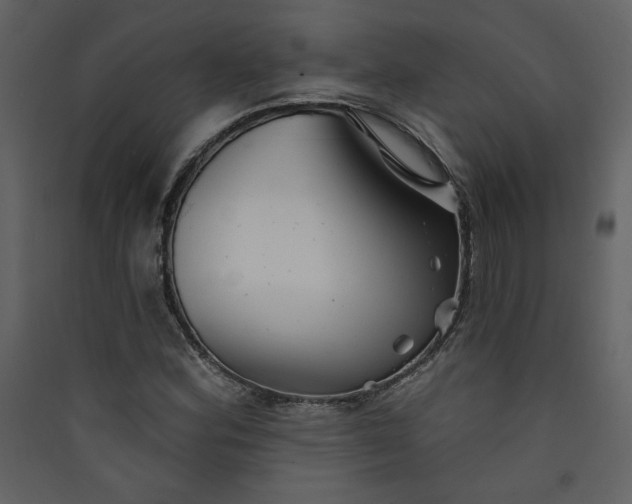 X0000089911164200707131343