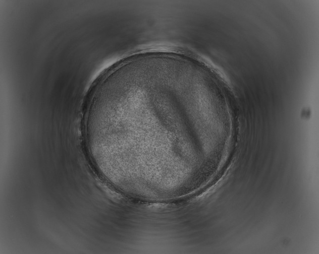 X0000089911166200707131343