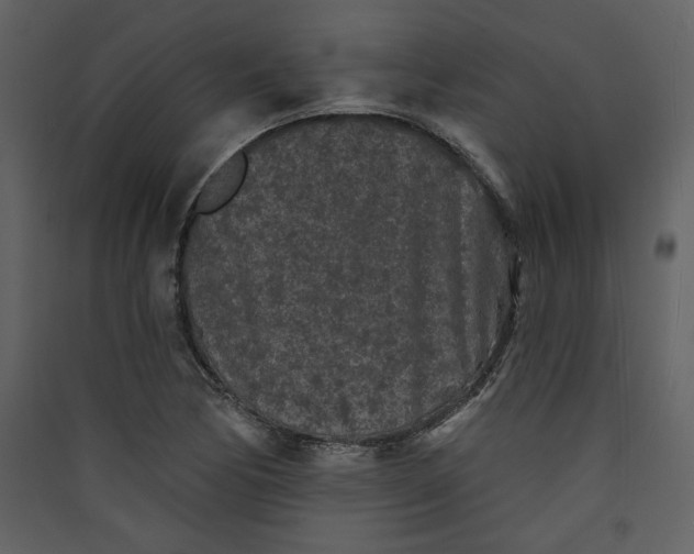 X0000089911170200707131343