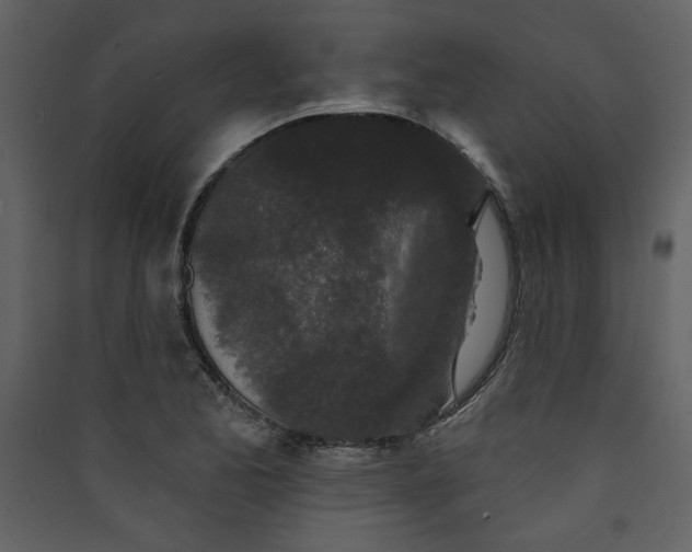 X0000089911173200707131343