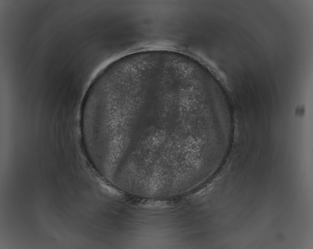 X0000089911174200707131343
