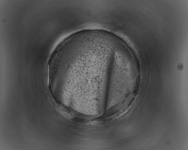 X0000089911175200707131343