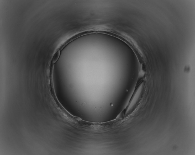 X0000089911176200707131343