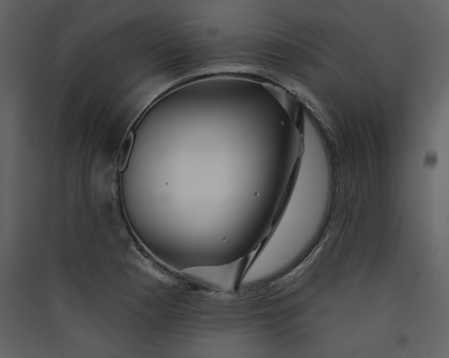 X0000089911177200707131343