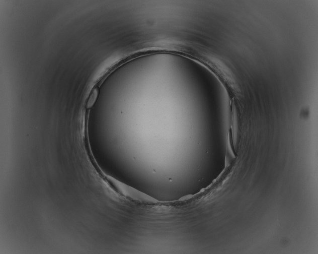 X0000089911180200707131343