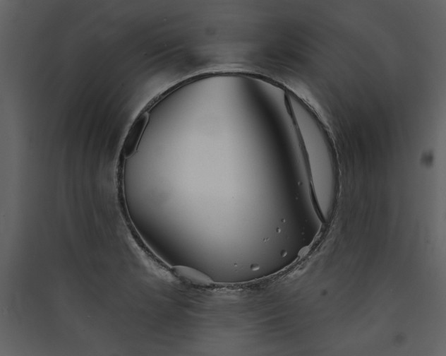 X0000089911181200707131343