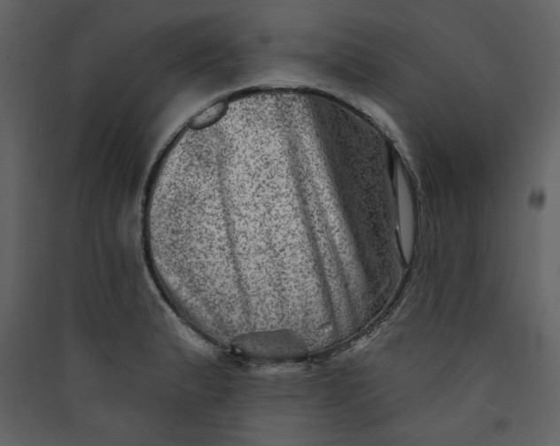 X0000089911183200707131343