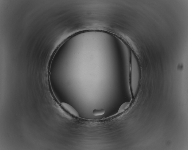 X0000089911184200707131343