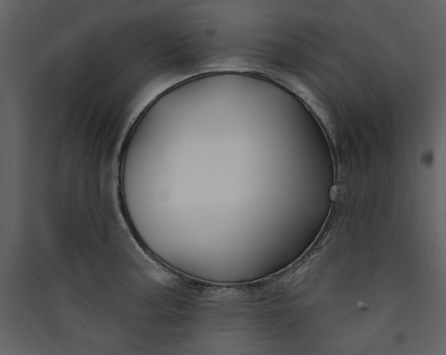X0000089911187200707131343