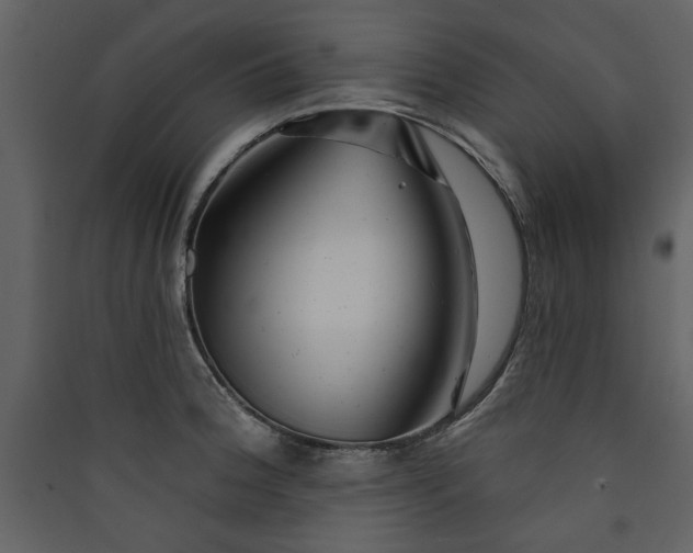 X0000089911188200707131343