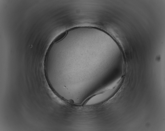 X0000089911189200707131343