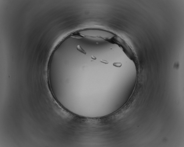 X0000089911191200707131343