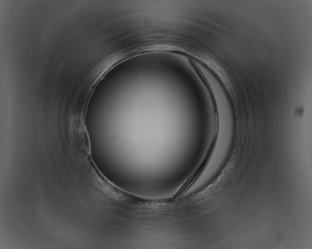 X0000089911193200707131343