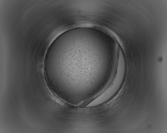 X0000089911194200707131343