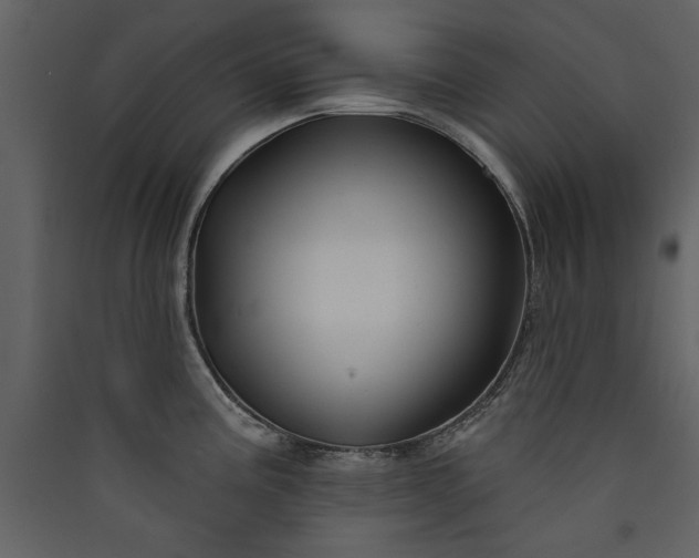 X0000089911195200707131343
