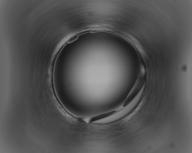 X0000089911196200707131343