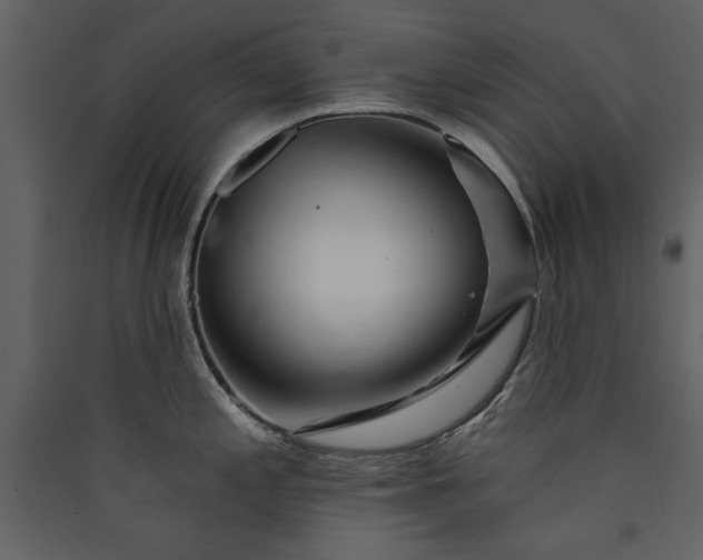 X0000089911197200707131343