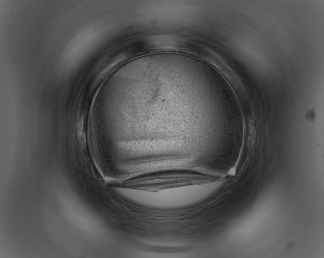 X0000089911198200707131343