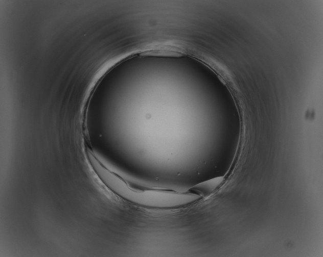 X0000089911200200707131343
