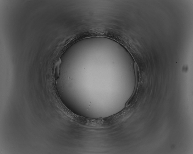 X0000089911201200707131342