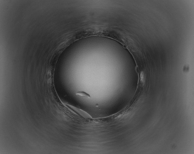 X0000089911203200707131342