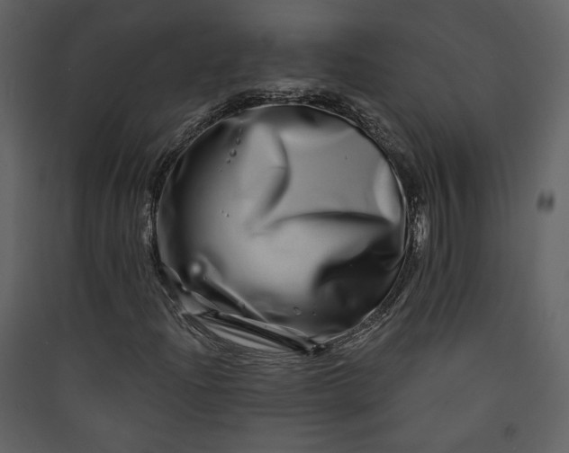 X0000089911204200707131342
