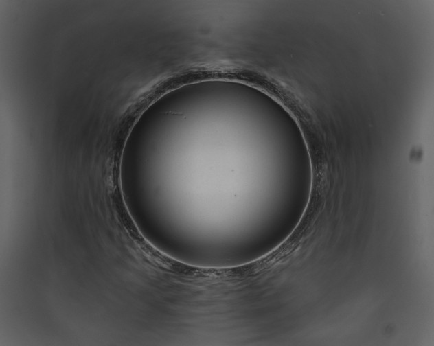 X0000089911205200707131342