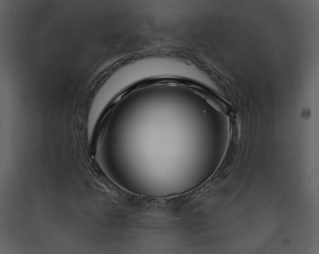 X0000089911206200707131342