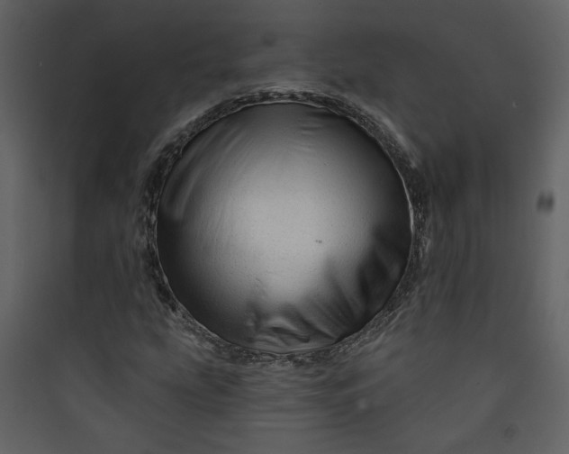 X0000089911207200707131342