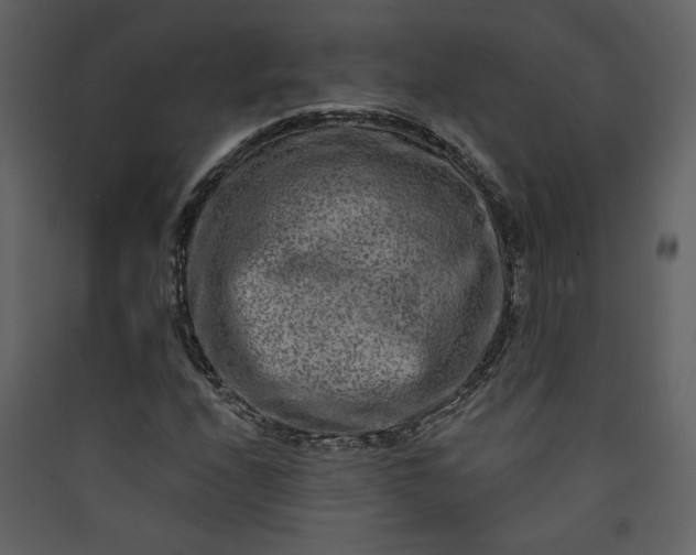X0000089911208200707131342
