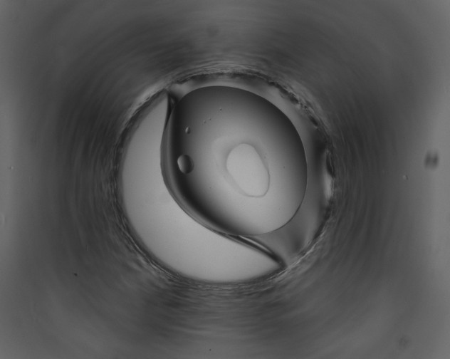 X0000089911210200707131342