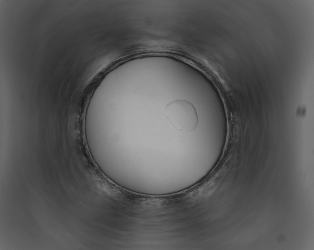 X0000089911211200707131342