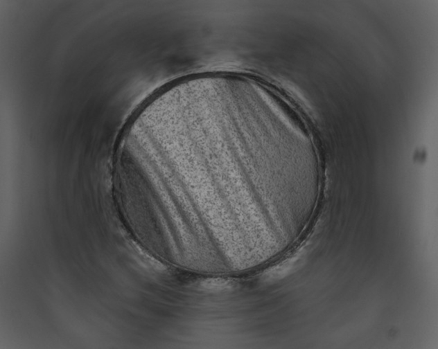 X0000089911212200707131342