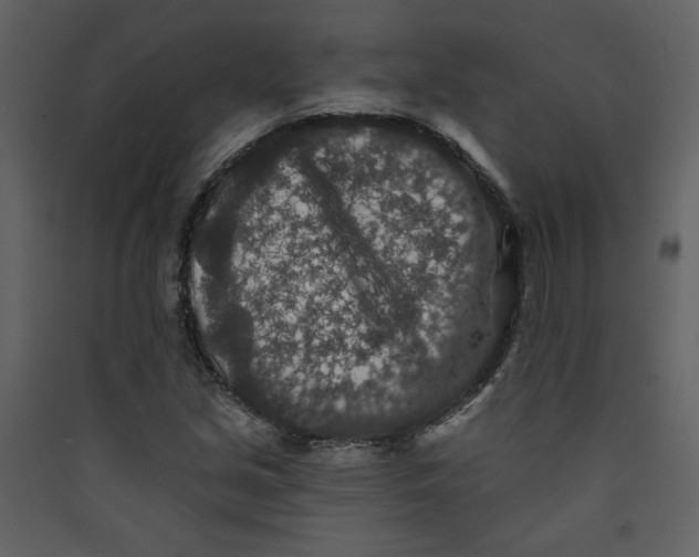 X0000089911213200707131342