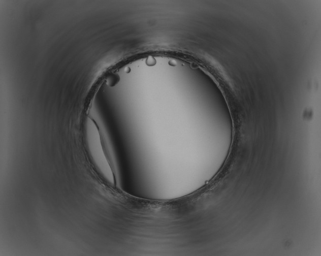 X0000089911218200707131342