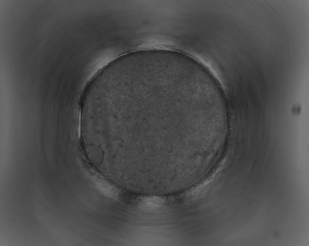 X0000089911219200707131342