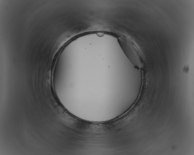 X0000089911220200707131342