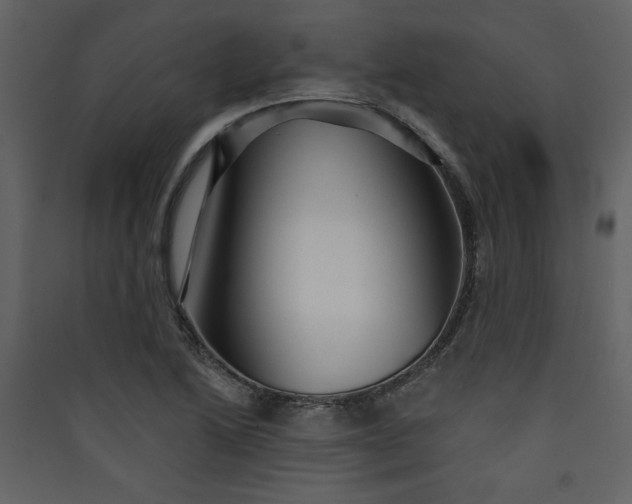 X0000089911222200707131342